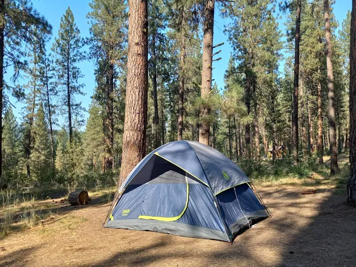 Grayback Gulch Campground Picture 2