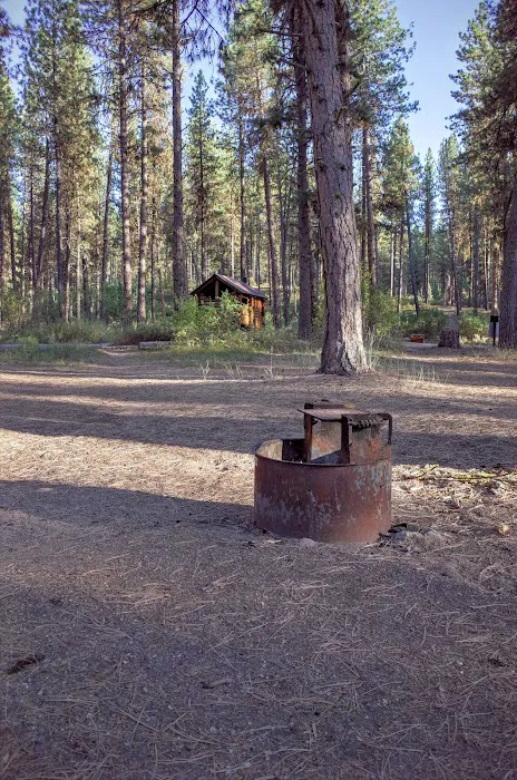 Grayback Gulch Campground Picture 4