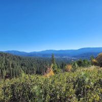 Pinetop Recreation Camp ico