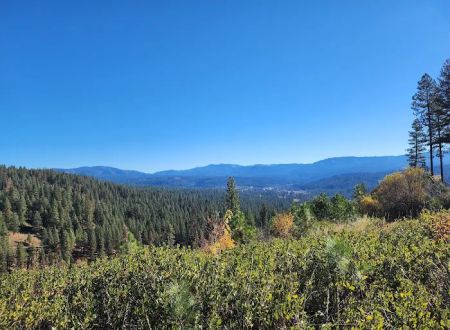 Pinetop Recreation Camp