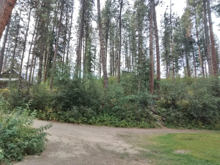 Pinetop Recreation Camp Picture 6