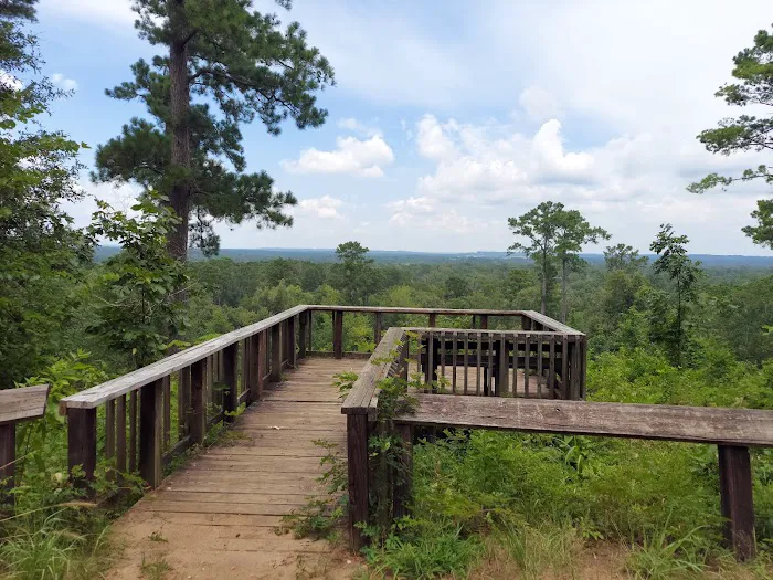 Neches Bluff Campground Picture 3