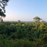 Neches Bluff Campground