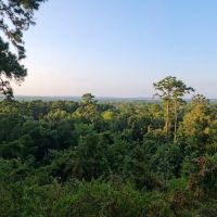 Neches Bluff Campground ico