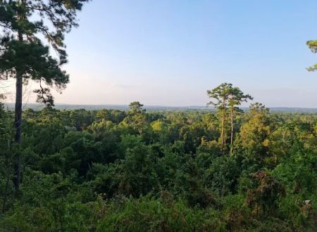 Neches Bluff Campground