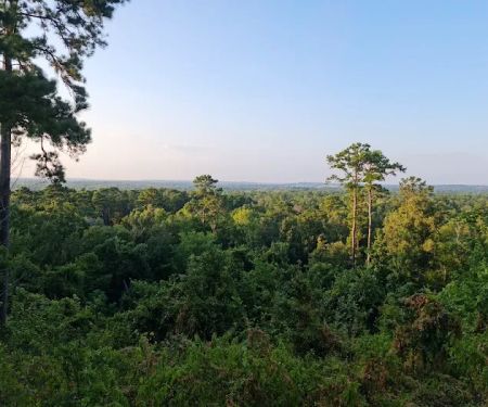 Neches Bluff Campground