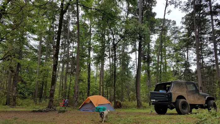 Neches Bluff Campground Picture 4