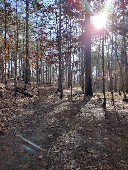 Neches Bluff Campground Picture 6