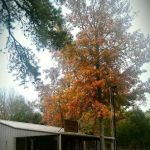 Stone Fort Camp & Conference