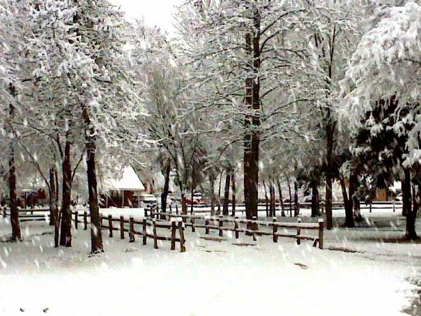Stone Fort Camp & Conference Picture 9