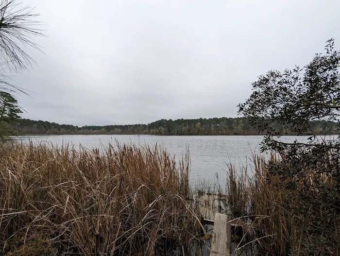 Beaver Dam Campground Picture 2