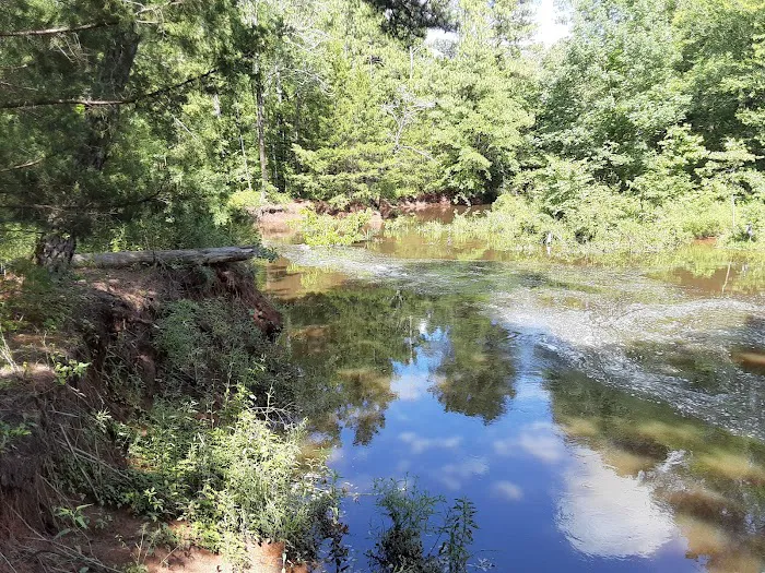 Ivan Lake Recreation Area Picture 6