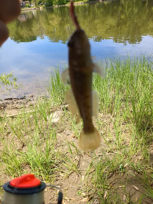 Ivan Lake Recreation Area Picture 9