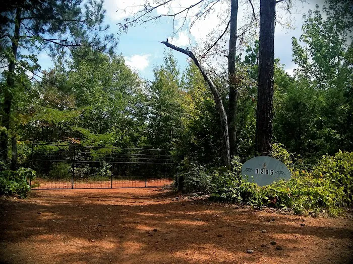 Armadillo Acres Picture 1