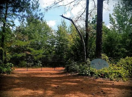 Armadillo Acres