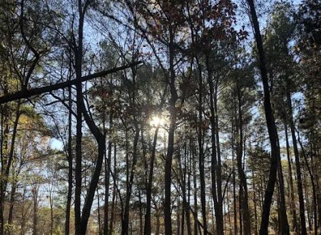 BarefootGee’s Texas Primitive Tent ,self contained Rv,Car campsite Rest Stop.Group Campsites