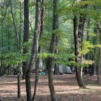 Barefoot Gee's campsite ico