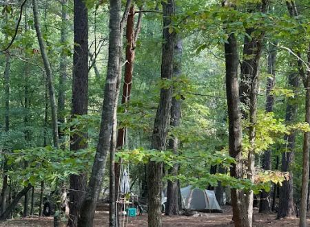 Barefoot Gee's campsite