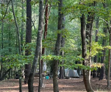 Barefoot Gee's campsite