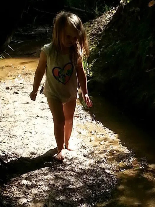 Barefoot Gee's campsite Picture 4