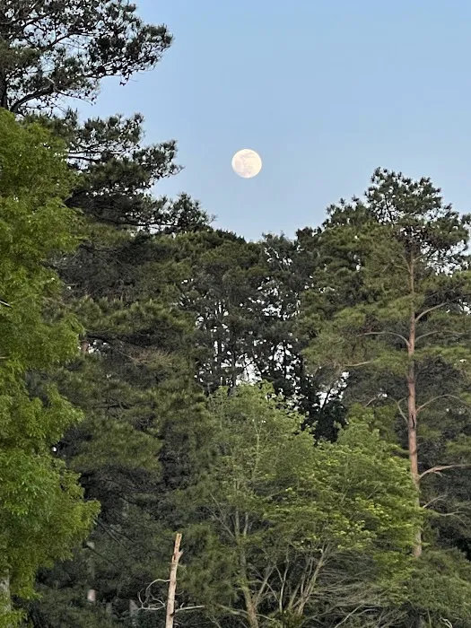 Barefoot Gee's campsite Picture 7