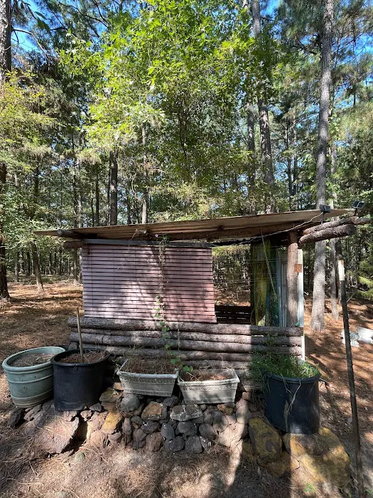 Barefoot Gee's campsite Picture 8
