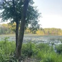 Dogwood Camping Area ico