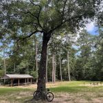 Chinquapin Group Camping