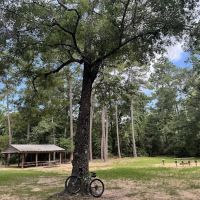 Chinquapin Group Camping ico