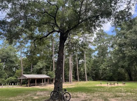 Chinquapin Group Camping