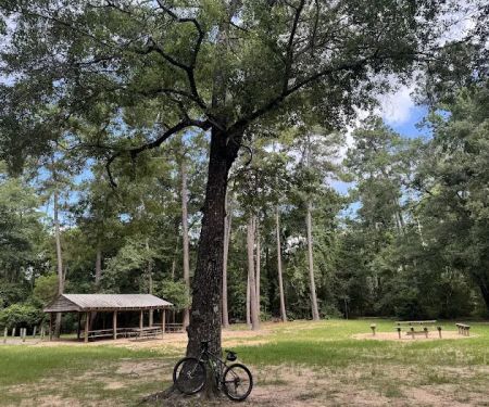 Chinquapin Group Camping
