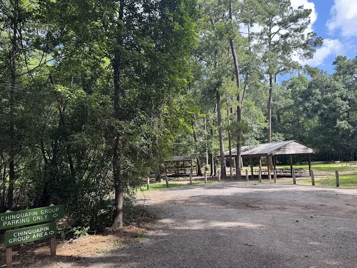 Chinquapin Group Camping Picture 2