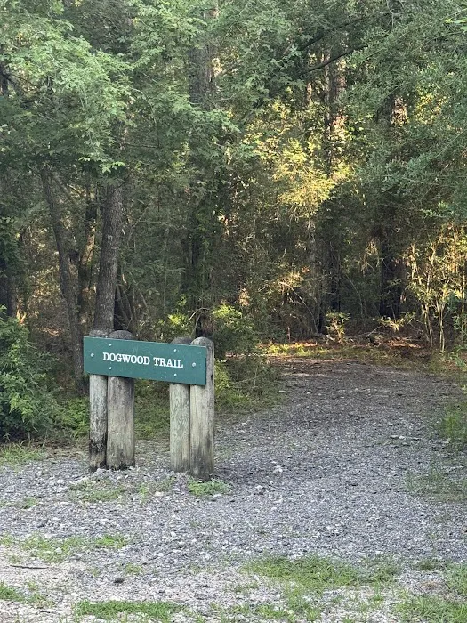 RV spots 1-6 Picture 2