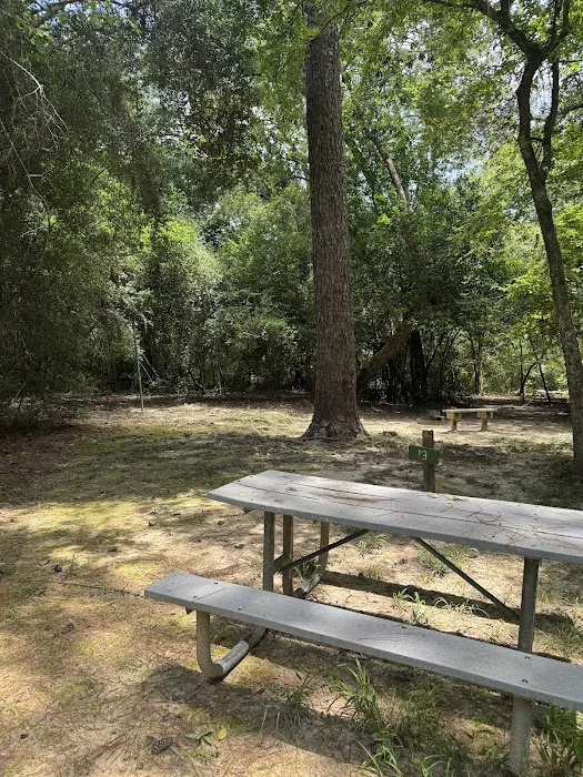 Camp Grounds Magnolia Picture 3