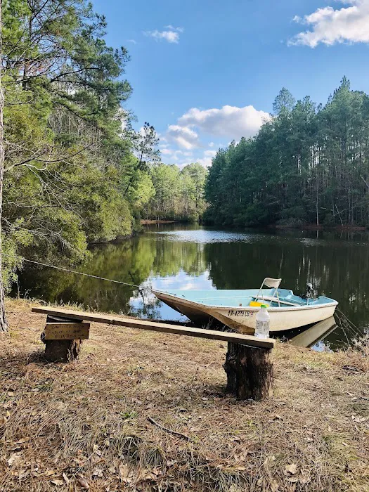 Shabbat Retreat | Glamping Park & Event Venue Picture 6
