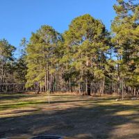 Big Woods Hunters Camp ico