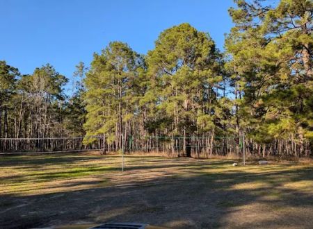Big Woods Hunters Camp