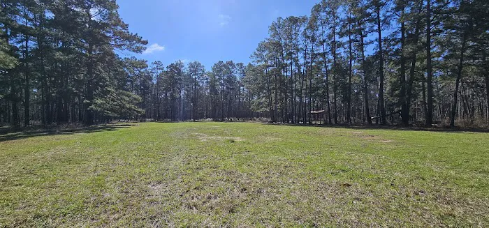 Big Woods Hunters Camp Picture 4