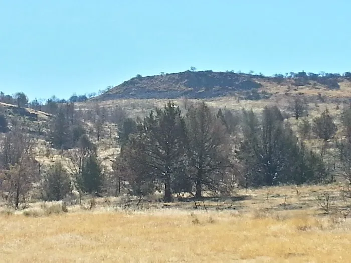BLM Dodge Reservoir campground Picture 1