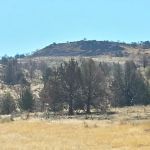 BLM Dodge Reservoir campground