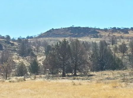 BLM Dodge Reservoir campground