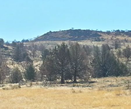 BLM Dodge Reservoir campground