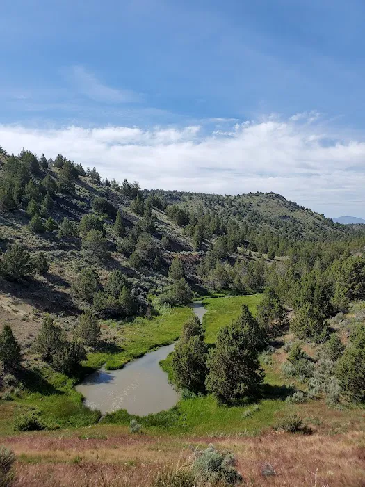 BLM Dodge Reservoir campground Picture 4