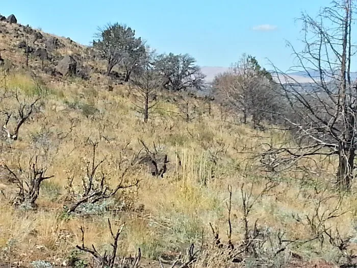 BLM Dodge Reservoir campground Picture 5