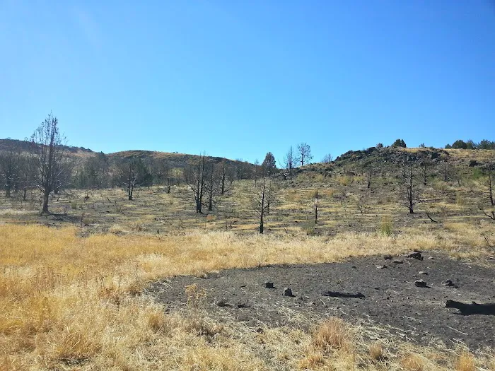 BLM Dodge Reservoir campground Picture 9