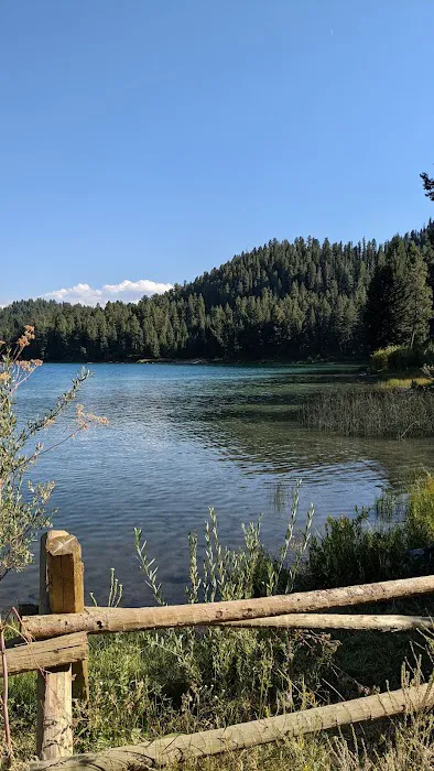 Wade Lake Campground and Picnic Areas Picture 10