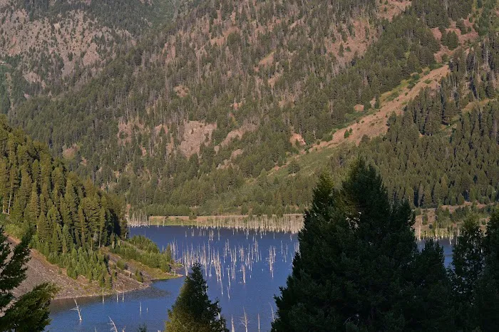 Beaver Creek Campground Picture 5