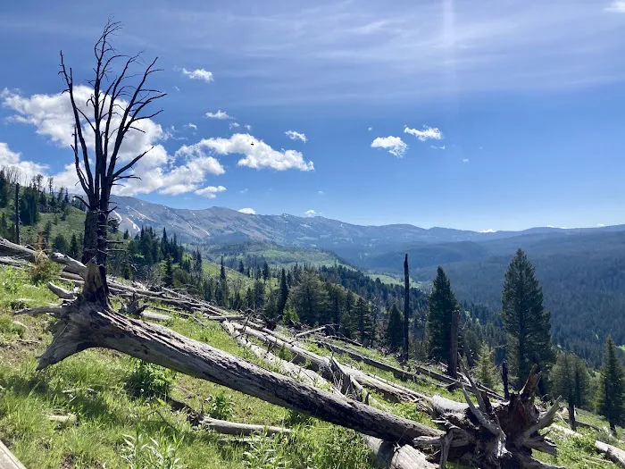 CABIN CREEK CAMPGROUND Picture 5