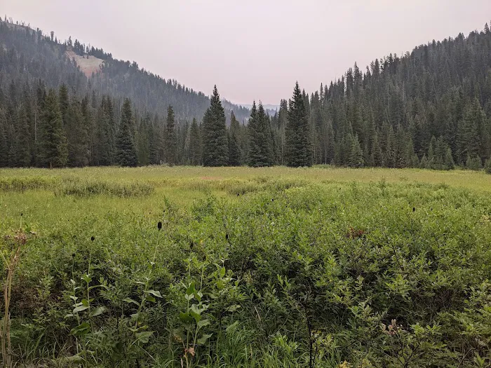 CABIN CREEK CAMPGROUND Picture 10
