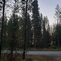 Spring Creek Campground ico